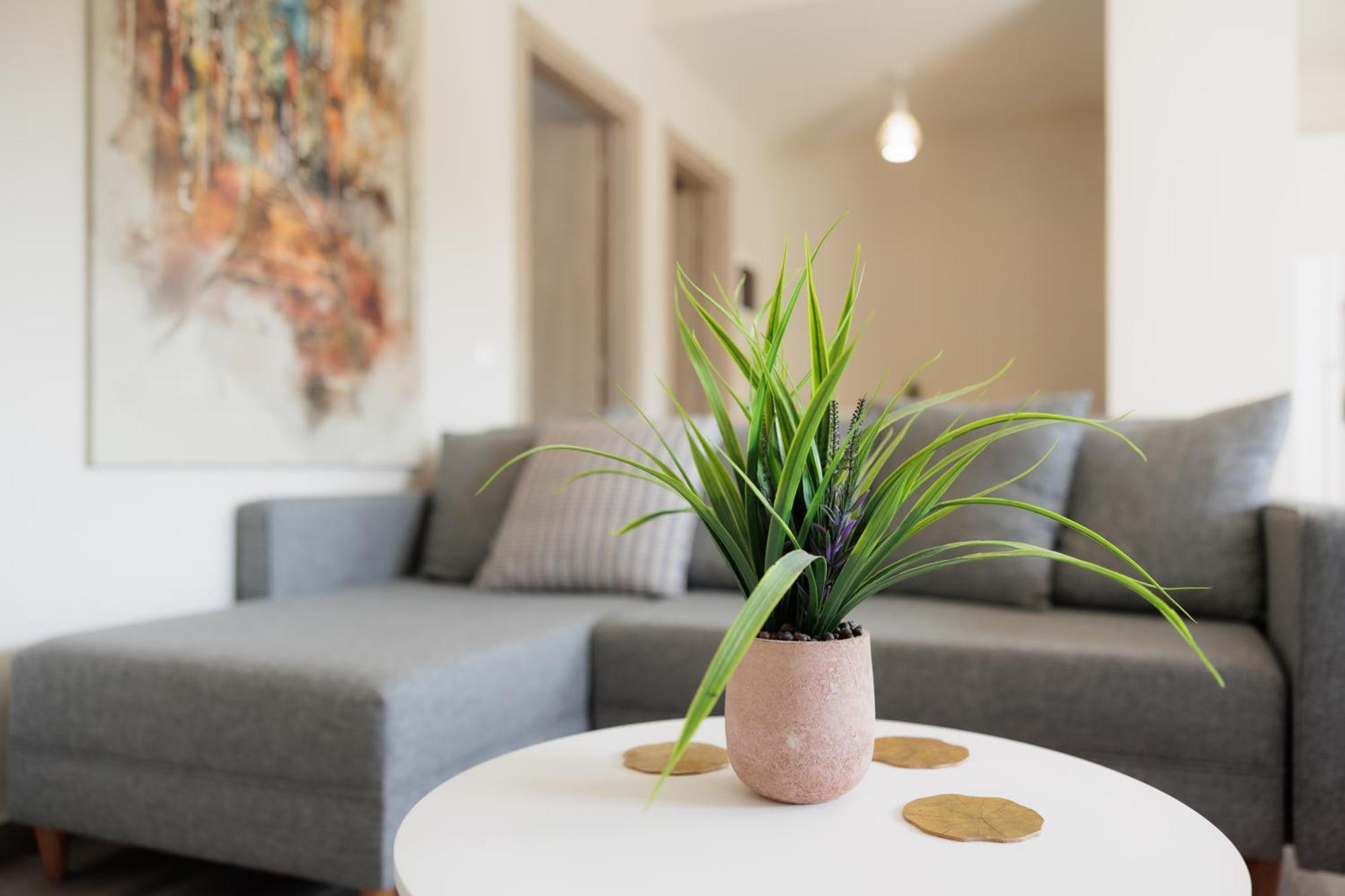 Sundial House Apartment Poulades ภายนอก รูปภาพ